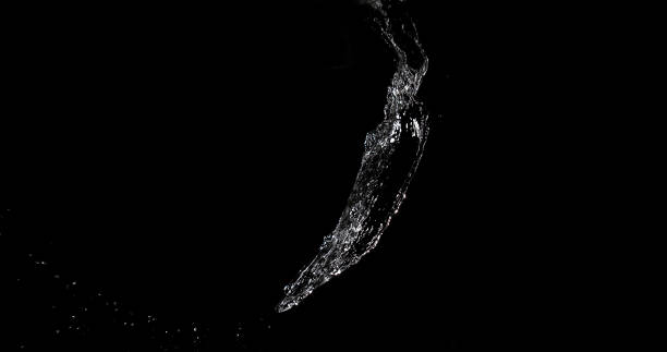 istock Water Bouncing and Splashing on Black Background 1731487466