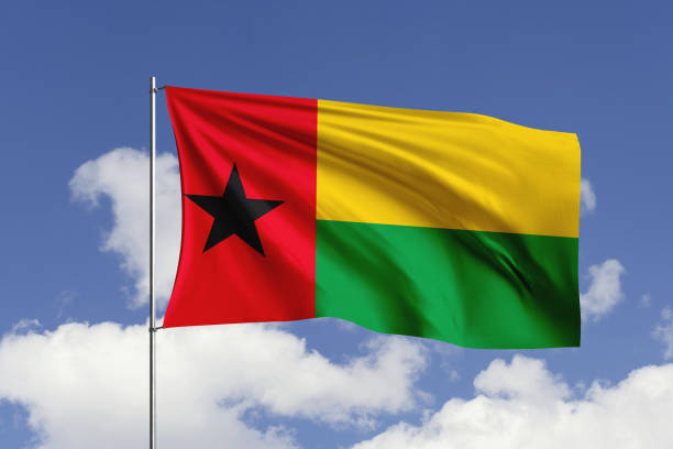 Guinea-Bissau flag painted on old wood plank. Patriotic background. National flag of Guinea-Bissau