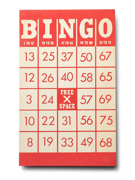 Photo of Blank Bingo Card