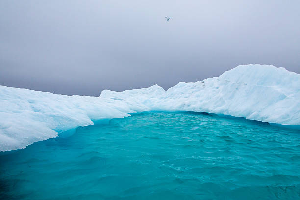 Iceberg with reflection drifting in the arctic ocean. Franz Josef Land  Russian Arctic