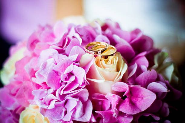 Wedding Bouquet and rings. Gold wedding rings with bridal rose bouquet. beauty and beast rose stock pictures, royalty-free photos & images