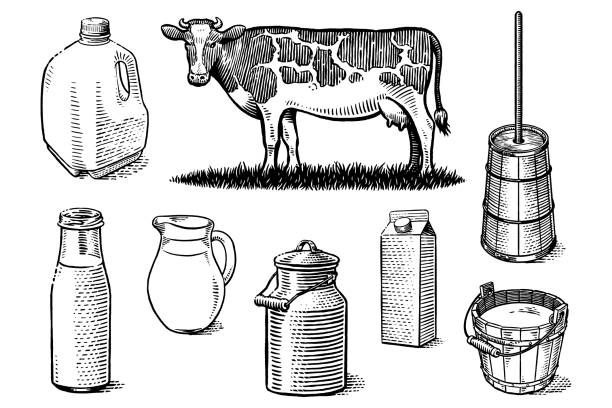 Old style illustration of a cow, milk container, milk canister, milk jug, milk bottle, milk carton, bucket with milk and butter churn