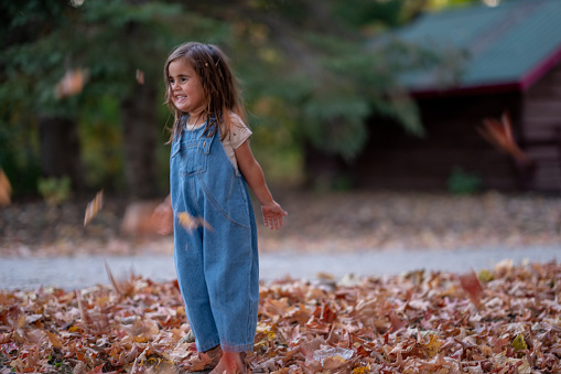 A sweet little girl in denim overalls, tosses dried autumn leaves up into the air.  She giggles with joy as the leaves come dancing down on her.