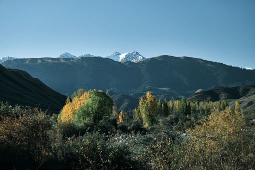 Mountain view in sunny autumn morning
