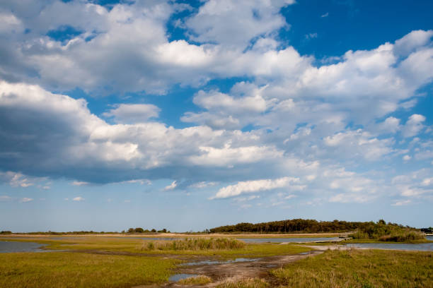istock Salt marsh wetlands at Assateague Island National Seashore, MD 1731553616
