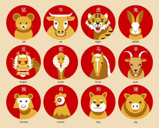 Cute Chinese horoscope zodiac set. Collection of animals sign & symbols of year. China New Year mascots Cute Chinese horoscope zodiac set. Collection of animals sign & symbols of year. China New Year mascots  ( translate: rabbit , dragon, snake, tiger, ox, rat, pig, dog, rooster, monkey, goat, horse  ) year of the horse stock illustrations