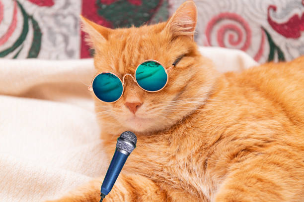 istock red fluffy cat in glasses with a microphone. funny cat 1731556605