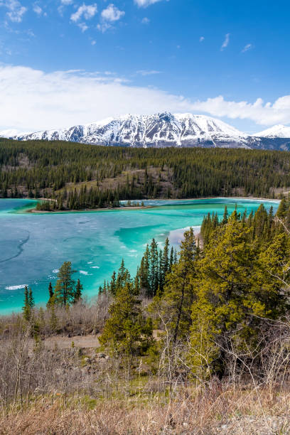 istock Emerald Lake and Surprise Mountain in Yukon, Canada 1731557704