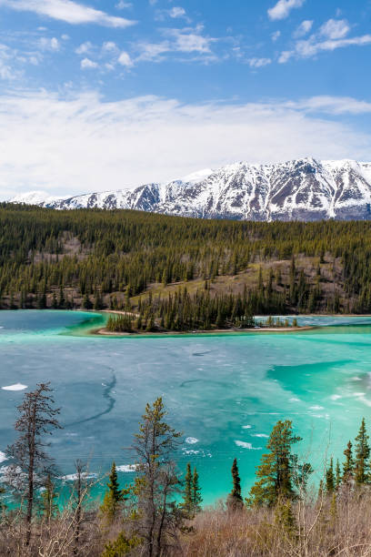 istock Emerald Lake and Surprise Mountain in Yukon, Canada 1731558317
