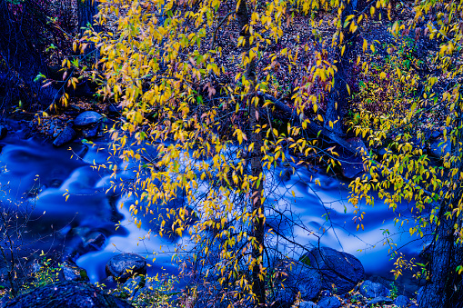 Creek in Wilderness During Autumn - Scenic fall foliage nature image in pristine wilderness and flowing soft silky smooth stream.