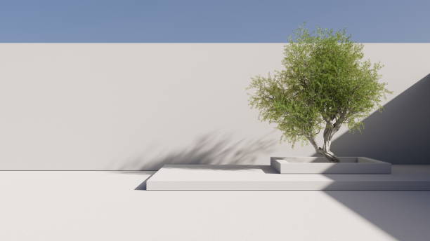 istock Minimalism architecture tree in the courtyard surrounded by walls, blue sky. 3d render 1731575919