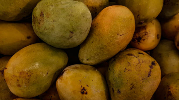 istock Mango is known for its fresh, distinctive and very appetizing taste 1731576198