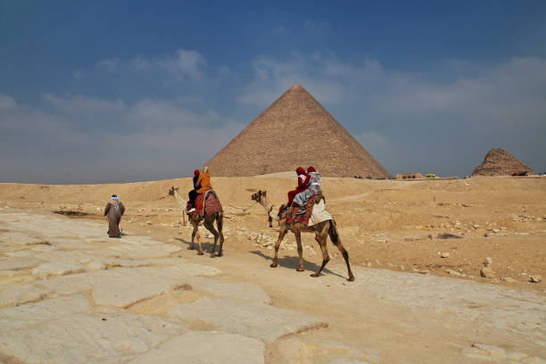 Camels with a local Bedouin walk through the desert near the Great Pyramid of Khufu in Giza near Cairo, Egypt