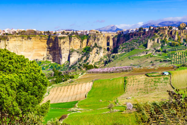 istock Ronda town, Andalusia in Spain. 1731577090