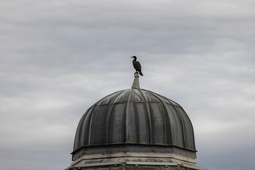 Black cormorant is standing on old roof with cloudy sky background.