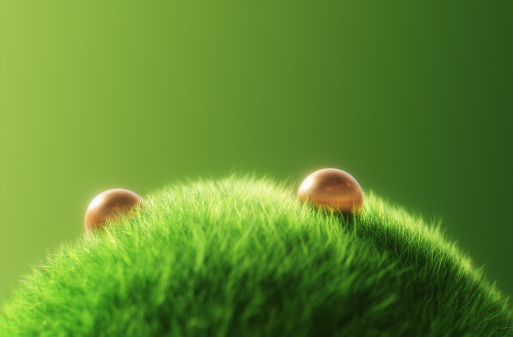 Round surface covered with grass, grass podium, lawn background 3d rendering