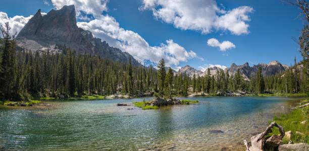 istock a lake with rocks and water surrounded by tall pine trees 1731578822