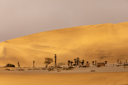 Empty road with light poles and dry stones in the roadside, palm trees and trees with buildings, mausoleums and the big sand dune of Taghit.