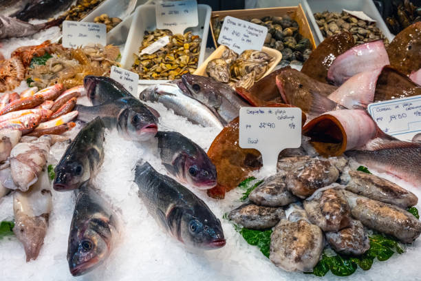 istock Great choice of fish and seafood 1731610045