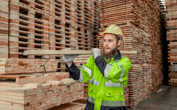 istock Determined woodworker measures, shapes, and balances wood with precision using hand and power tools 1731621734