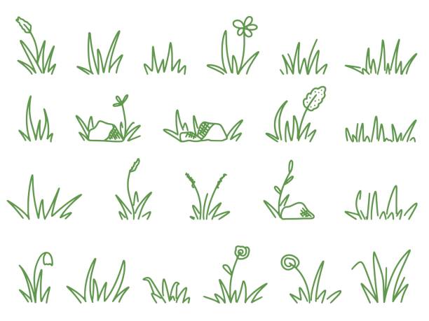 ilustrações, clipart, desenhos animados e ícones de definir estilos de esboço de rabisco de grama - spring clover leaf shape clover sketch