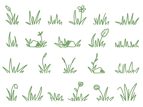 Set grass doodle sketch styles. Hand drawn grass field, wild flowers and herbs. Sprout, flower, clover elements, stones, herbal bundle, clip art vector illustration