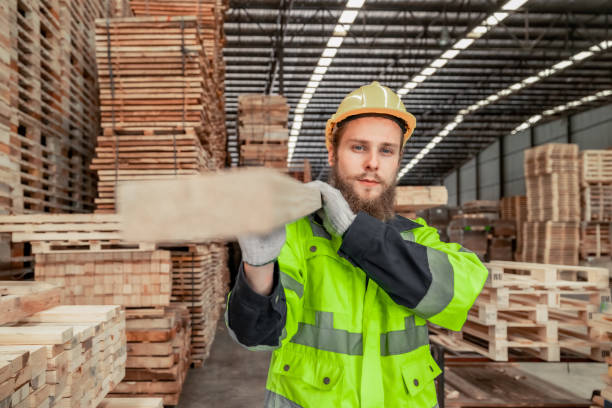 istock Determined woodworker measures, shapes, and balances wood with precision using hand and power tools 1731642566