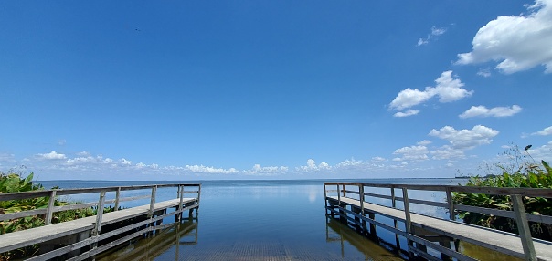This is a photograph of Lake Apopka in Winter Garden, Florida.