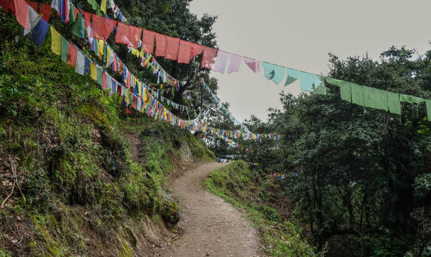 istock Forest trail to Taktshang Goemba 1731666389