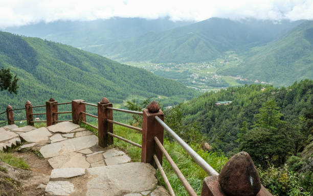 istock Forest trail to Taktshang Goemba 1731667991