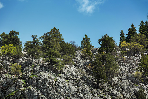 The rocky cliffs breathe life into nature with mature trees. The wild natural beauties beneath the blue skies.
