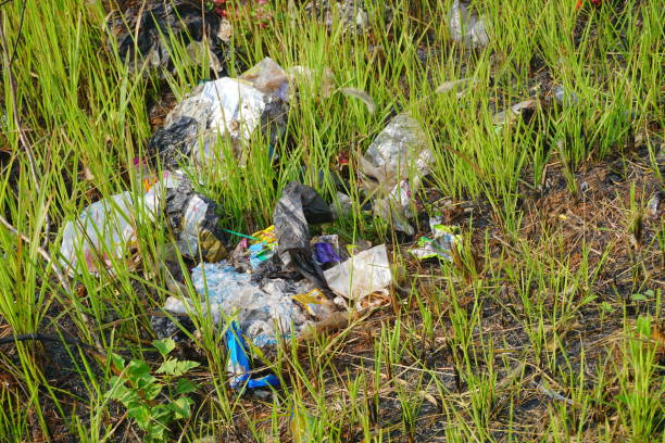 istock Plastic waste in nature. Perfect for environment, pollution, conservation and world day content. 1731685590