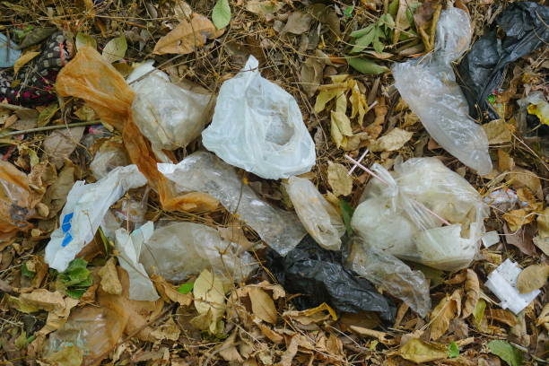 istock Plastic waste of roadside. Perfect for environment, pollution, conservation and world day content. 1731695759