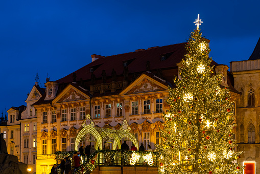 Christmas tree at Old Town Square, Prague, Czech Republic