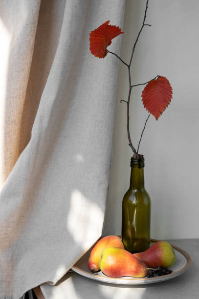 istock Aesthetic fall still life, pears on plate, bottle with tree branch with red leaves on table, neutral beige linen curtain background with natural sunlight shadows 1731731557