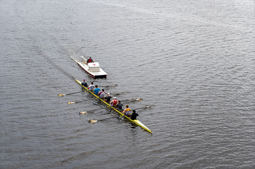 University rowers on the River Charles, Boston, Massachusetts, USA.