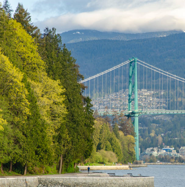 ponte lions gate e vista para a montanha - vancouver suspension bridge bridge people - fotografias e filmes do acervo