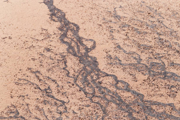 istock Macro photo shore salt lake, design texture pattern concept natural or wallpaper, abstract ornamental surface from sand and mud, dry ground landscape view, aesthetic nature background, curle lines 1731753636