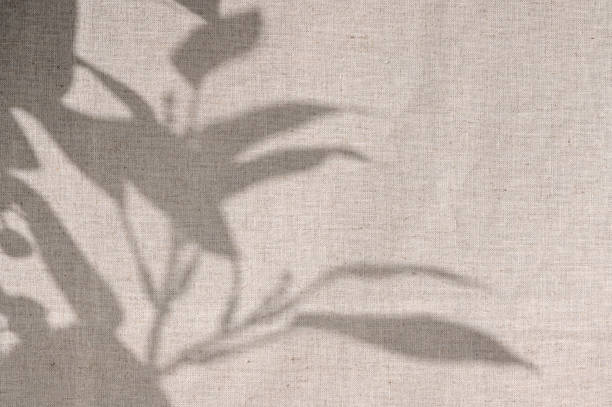 istock Abstract floral sunlight shadow silhouette on neutral beige linen cloth texture background. Minimal aesthetic boho wedding background or sustainable business brand template 1731758012
