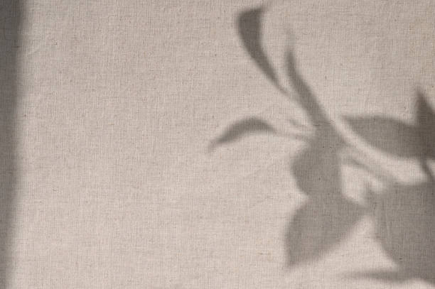 istock Natural floral sunlight shadow silhouette on neutral beige linen textile background. Minimalist sustainable pattern, template for branding identity, copy space 1731758505