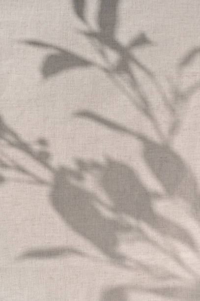 istock Aesthetic floral sunlight shadows pattern on neutral beige linen cloth texture background. Sustainable eco business brand template, backdrop, wedding design 1731758585
