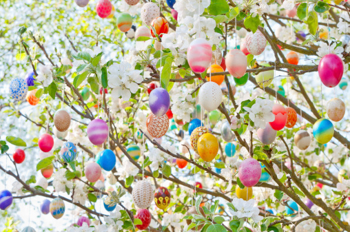 eastereggs hanging on apple tree. A lot of colorful and handmade eggs. Highkey. More of this series: