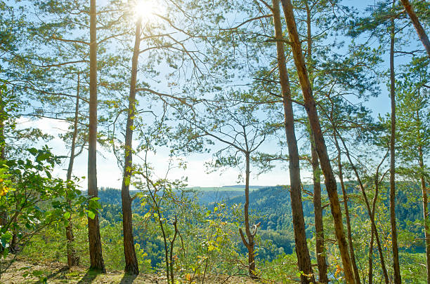 hiking way on a mountain in sunlight. With view trough the trees  in the valley. Thuringia forest in Germany