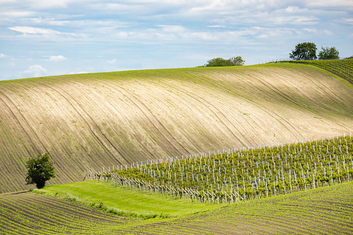 landscape of Moravian Tuscany, Czech Republic