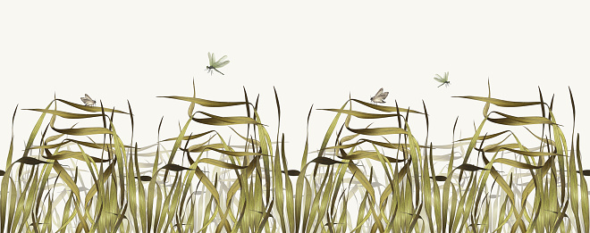 Grass. Seamless pattern of dry grass with moth and dragonfly. Watercolor illustration of herbs. For background design, banner.