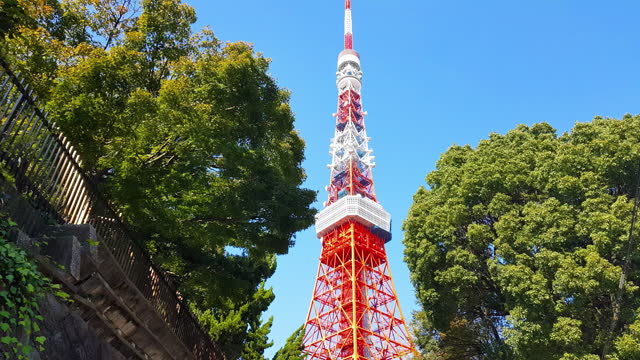 Tourist spot Tokyo Tower surrounded by green trees