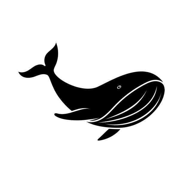 Over 100 Free Whale Vectors - Pixabay