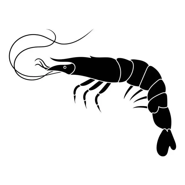 Vector illustration of Shrimp icon and illustration.