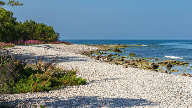 The beach at Holmudden, Faro Gotland
