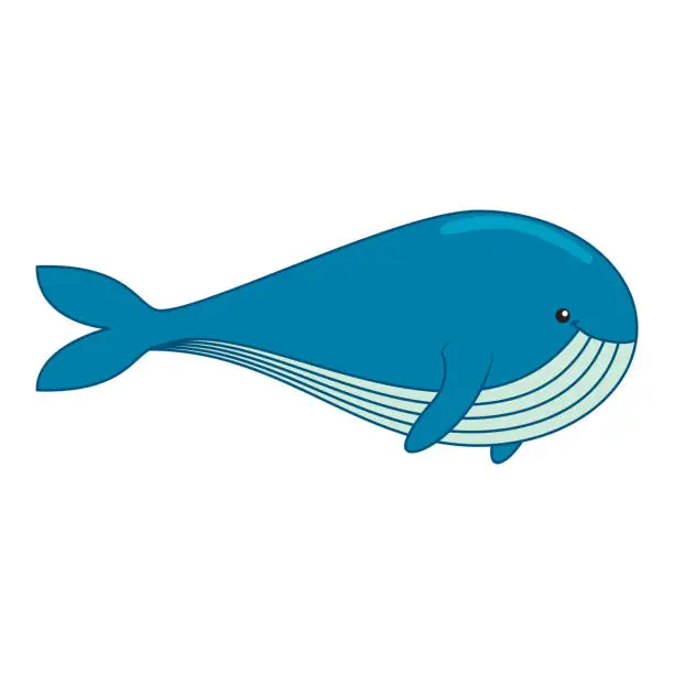 Vector illustration of Whale illustration  in cartoon style.